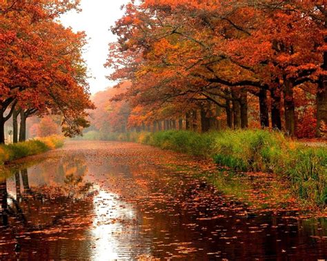 Autumn River Trees Colours Leaves Nature Forests Hd Wallpaper