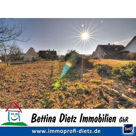 Dann sind sie hier bei uns von dieckmann immobilien an der richtigen. Wohnen in Großostheim, 582 m²
