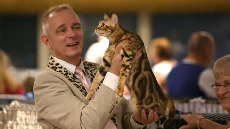 Gallery Top Cats Judged As Masters At World Cat