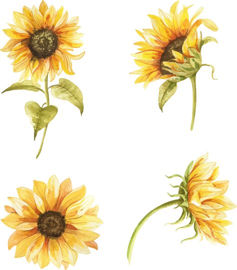 Sunflower 4 Pack Waterslide Decal Etsy Arte Girassol Pinturas De