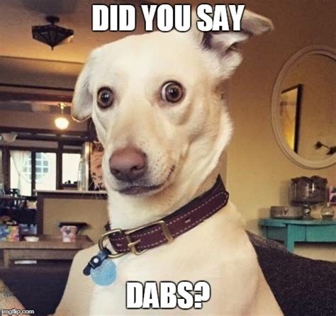 Image Tagged In Dabs Imgflip