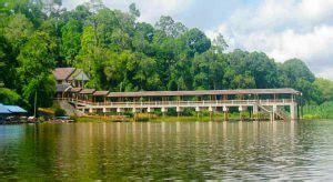 Mereka menjalani tes swab yang hasinya keluar pada hari kedua karantina. Tasik Chini, Tasik Semula Jadi Kedua Terbesar Malaysia ...