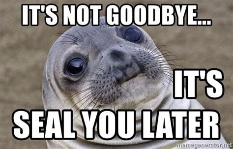 Hd videos clips of farewell meme. It's not goodbye... It's Seal you later - Awkward Seal | Meme Generator