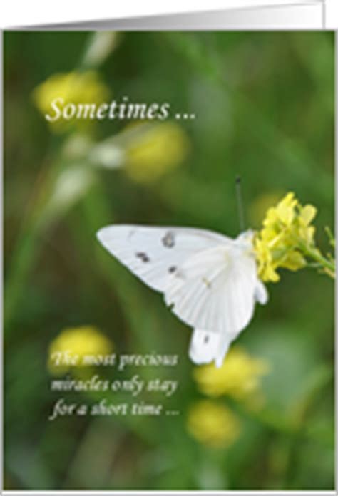 After a family experiences a miscarriage it can be a difficult time of grief. Sympathy Cards For Miscarriage