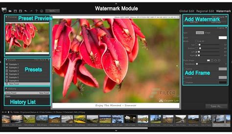 Pt Photo Editor Pro Edition 5670 Free Download Filecr