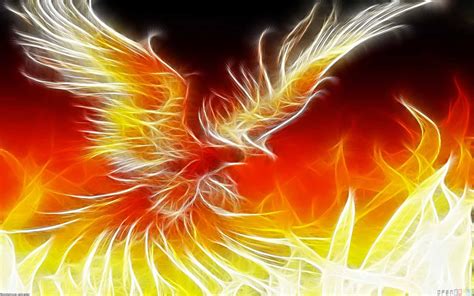 Free Download Fire Phoenix Wallpapers Hintergrnde 1680x1050 Id165420