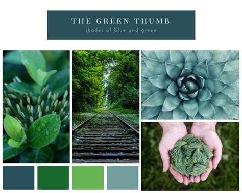 Green Nature Mood Board Photo Collage Photo Collage Template Mood