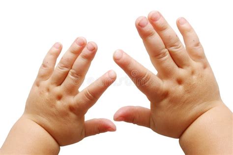 Children S Hands Stock Photo Image Of Female Hold Isolated 15614222