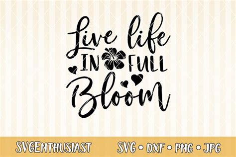 Live Life In Full Bloom SVG Cut File 579164