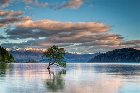 840437 Lake Wanaka New Zealand Lake Autumn Trees Rare Gallery Hd