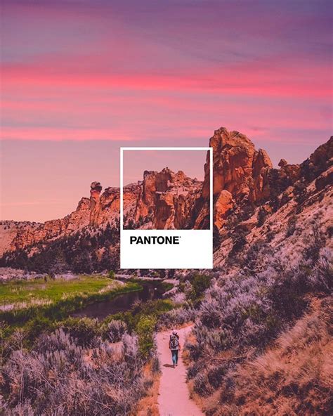 Pantone On Instagram “create Your Own Color Palette Or Pantone