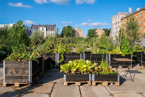 Urban Gardening And Co Mehr Als Kurzzeitige Trends