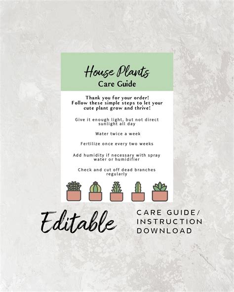 Printable House Plant Care Guide Indoor Plant Care Etsy