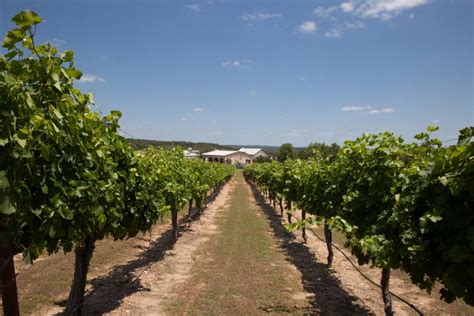 Flat Creek Estate Winery Back On The Market In The Texas Hill Country