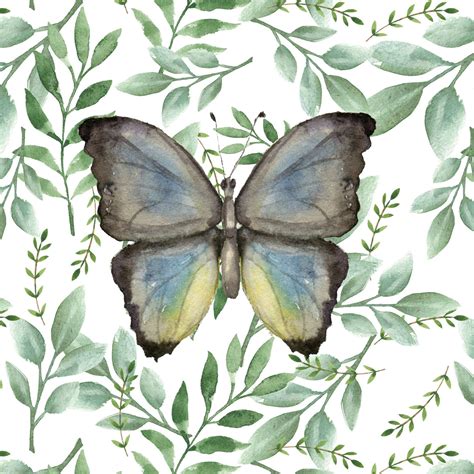 Watercolor Butterfly Free Stock Photo Public Domain Pictures