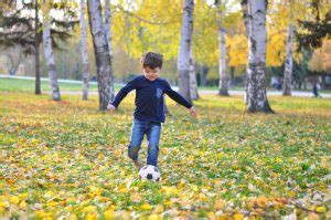 Actividades para niños 5 ideas para disfrutar de la naturaleza en familia