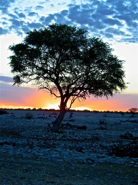 Sonnenuntergang Nach Einem Erlebnisreichen Tag In Namibia Foto And Bild