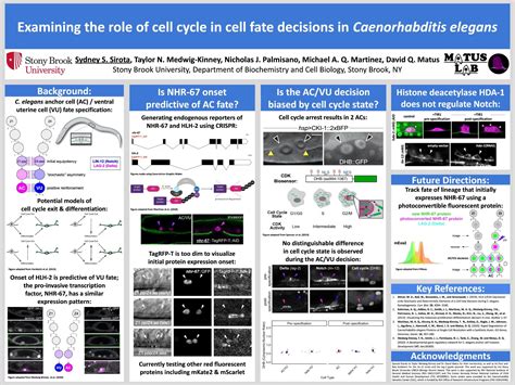 Biochemistry And Cell Biologysydney Sirota 2021 Ureca Celebration