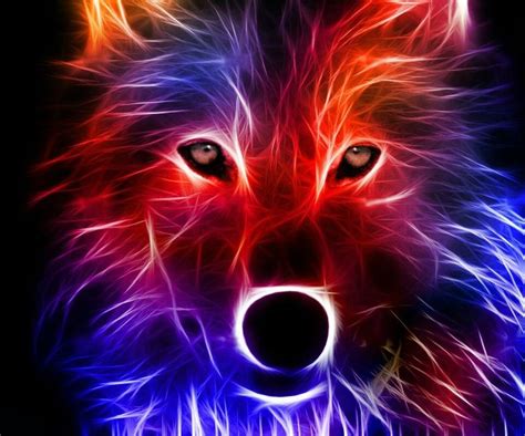 Electric Wolf Wallpaper Wolf Pictures Animal Wallpaper