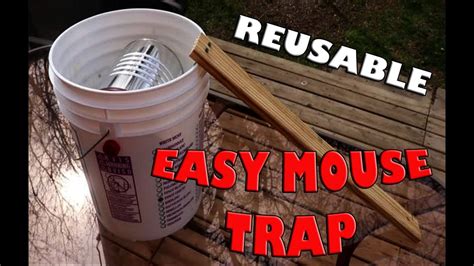 Easy Reusable Bucket Mouse Trap Improved Youtube