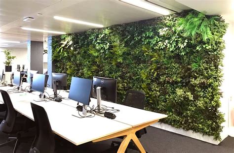Office Plants And Living Wall Specialists Bristol And Bath Inleaf