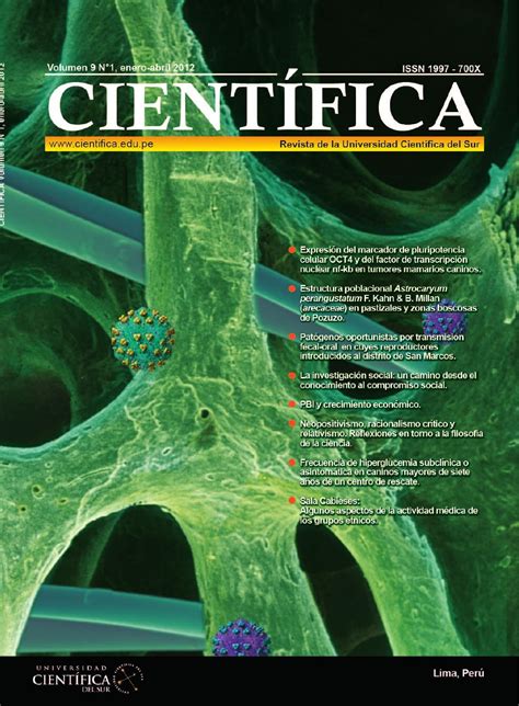 Revista CientÍfica 9 N° 1 By Universidad Científica Del Sur Issuu