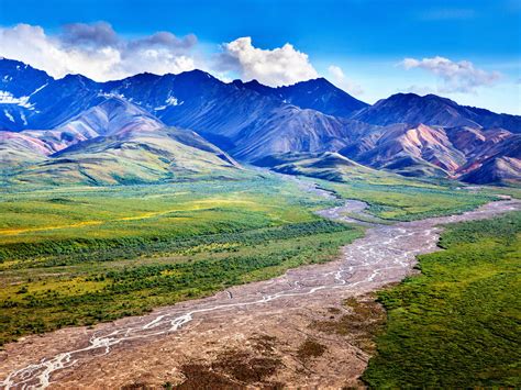Designated wilderness has the highest level of protection offered by the federal government. Discover Denali National Park & Preserve - Sunset Magazine