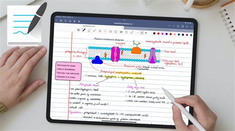 Goodnotes For The Ipad 2023 Digital Note Taking Everything You
