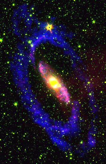 The Circinus Galaxy