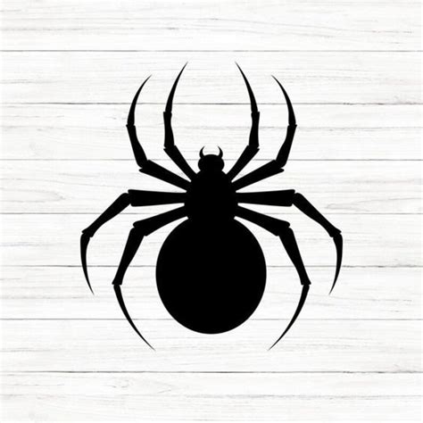 Commercial Use Spider File Digital Download For Cricut And Etsy