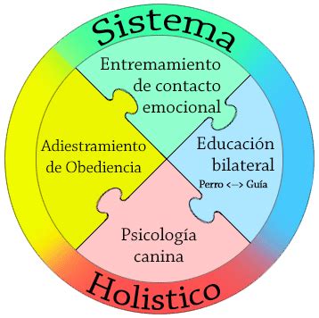 Café holístico is an initiative of global brigades, the world's largest university movement for global health and sustainable development. Sistema Holístico - Arcanes Adiestramiento canino