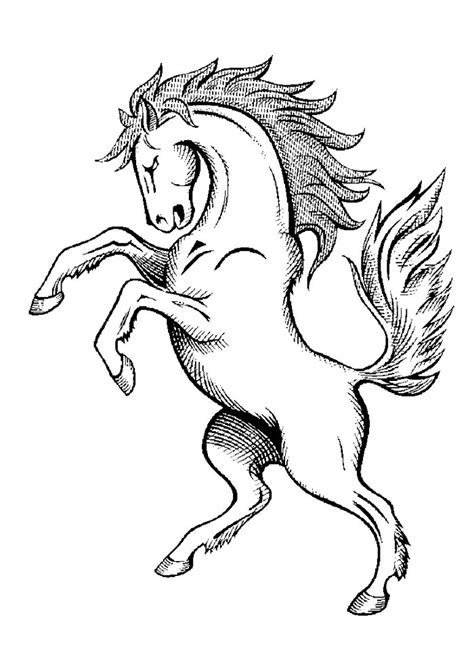 Aprender Sobre 73 Imagem Desenhos De Cavalos Para Desenhar Br