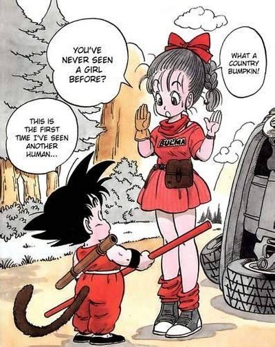 Goku Saw For First Time Another Human Besides His