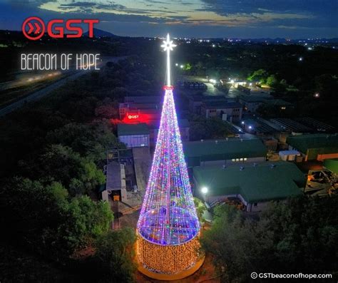 Nw Company Unveils Tallest Christmas Tree In Africa