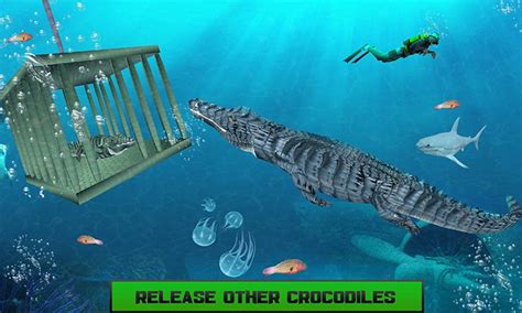 Hungry Crocodile Water Attack Game