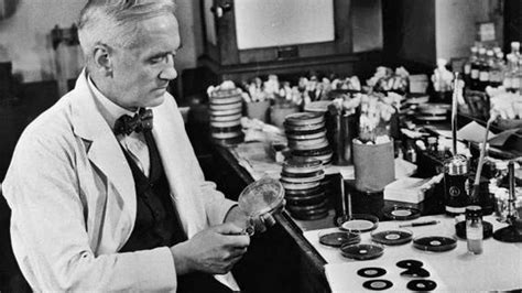 C Mo Se Descurbri La Penicilina Historia De Alexander Fleming