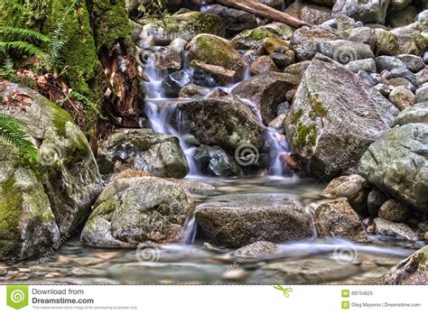 Cascades On Small Creek In The Forest Stock Image Image Of Fresh