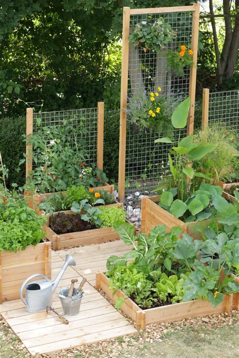 10 Innovative Food Gardens Ideas