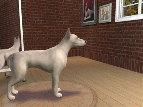 Mod The Sims White Dobermans And Uncropped Dobys