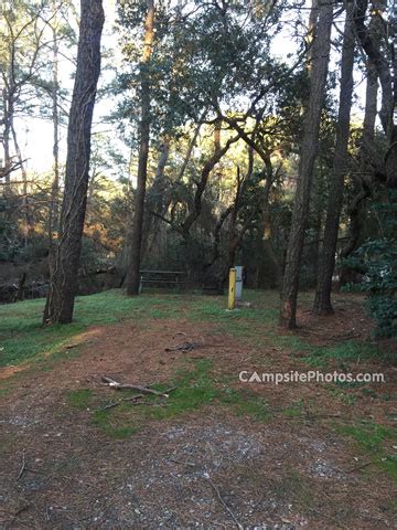 First Landing State Park Campsite Photos Availability Alerts