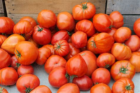 Heirloom Tomatoes In A Pile By Stocksy Contributor Kristin Duvall