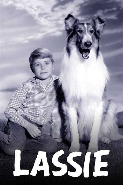 Lassie Tv Series Posters The Movie Database Tmdb