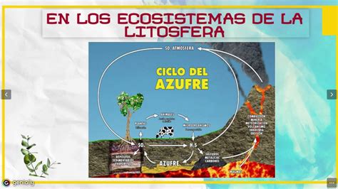 Ciclo Biogeoquimico Del Azufre Youtube