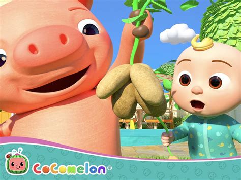 Cocomelon The Duck Hide And Seek Song Tv Episode 2020 Imdb
