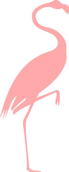 Pink Flamingo Cartoon Clipart Best