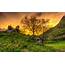 Nature Landscape Trees Sunset HDR Grass Wallpapers HD / Desktop 
