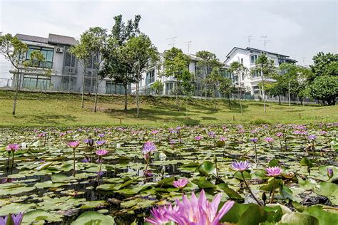 Amproject construction sdn bhd, paragon education sdn bhd, symphony merge sdn bhd, cempaka logistik sdn bhd. Photo & Video Gallery | Horizon Hills, Iskandar Puteri ...