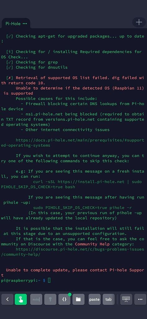 Update Not Possible Help Pi Hole Userspace