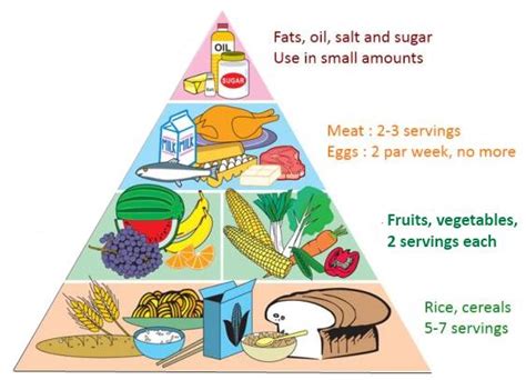 Balanced Diet Food Pyramid Best Design Idea