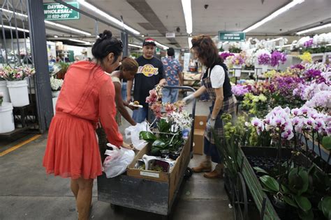 (redirected from city of los angeles). How to Shop at the Los Angeles Flower Market - Ounce of Salt